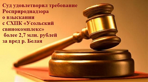 Суд удовлетворил требование Росприроднадзора о взыскании с СХПК «Усольский свинокомплекс» более 2,7 млн. рублей за вред р. Белая 